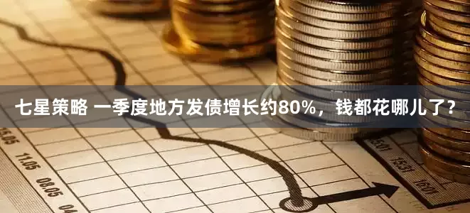 七星策略 一季度地方发债增长约80%，钱都花哪儿了？