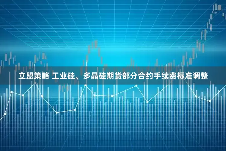 立盟策略 工业硅、多晶硅期货部分合约手续费标准调整