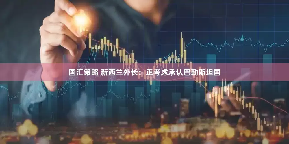 国汇策略 新西兰外长：正考虑承认巴勒斯坦国
